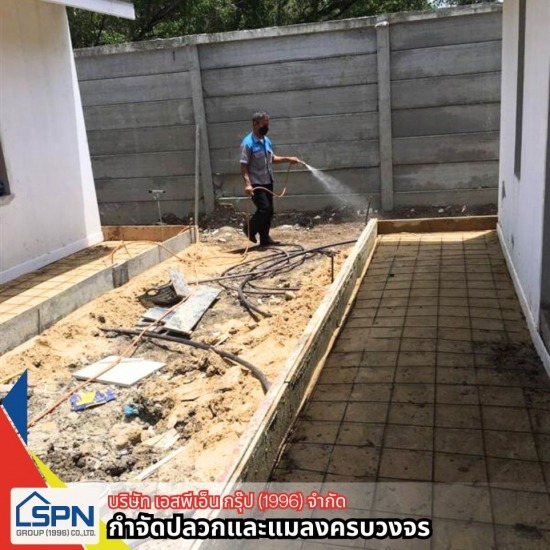 บริการกำจัดปลวก