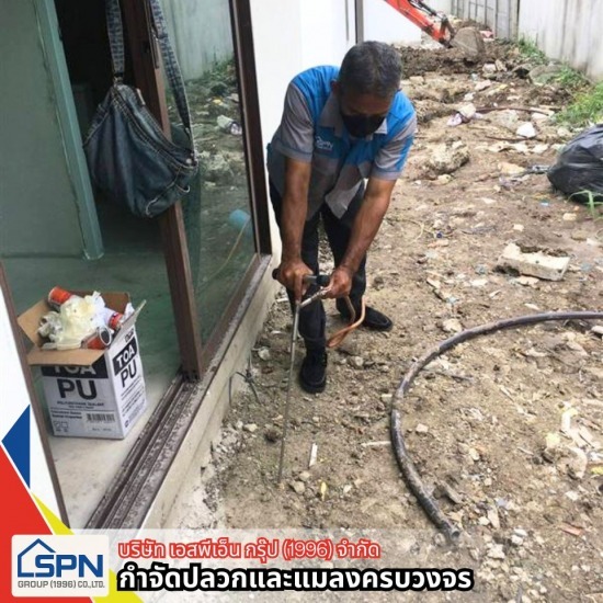 รับฉีดปลวก รับฉีดปลวก