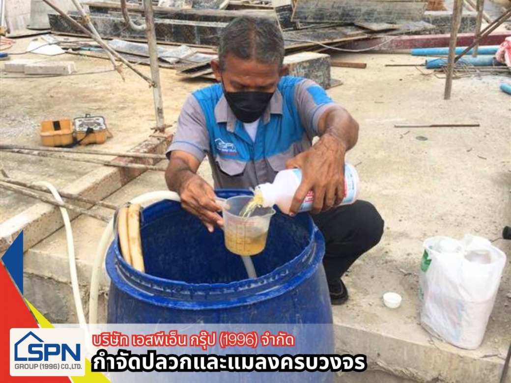 รับกำจัดแมลงสาบ ราคา รับกำจัดแมลงสาบ ราคา