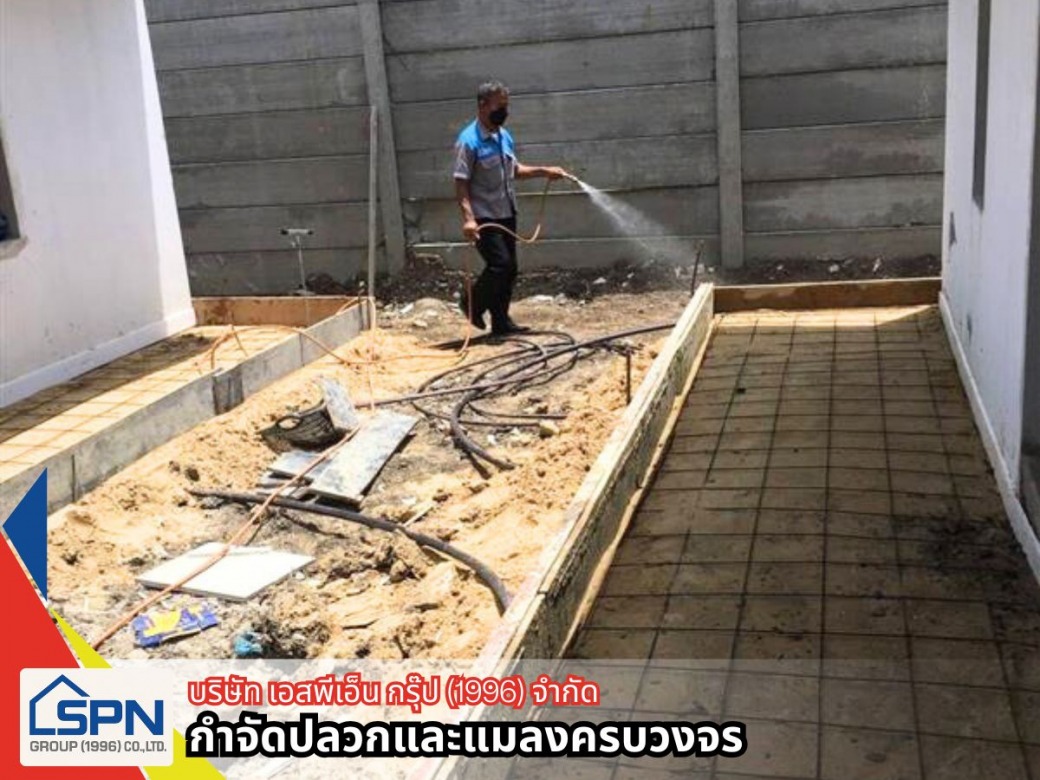 รับฉีดปลวก ราคาถูก รับฉีดปลวก ราคาถูก