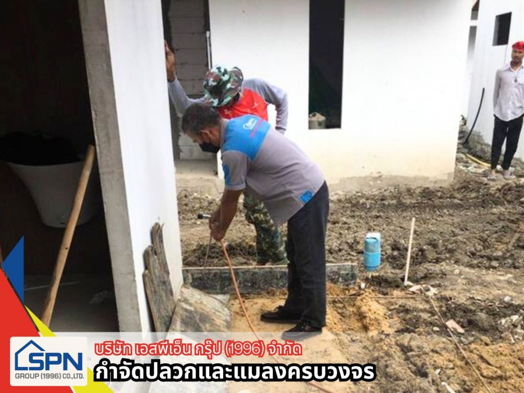 รับวางระบบกำจัดปลวกตามบ้าน รับวางระบบกำจัดปลวกตามบ้าน