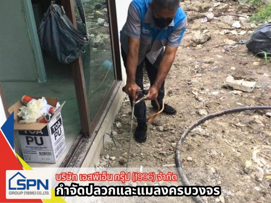 รับกำจัดปลวก ราคาถูก