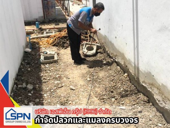 รับวางระบบกำจัดปลวก